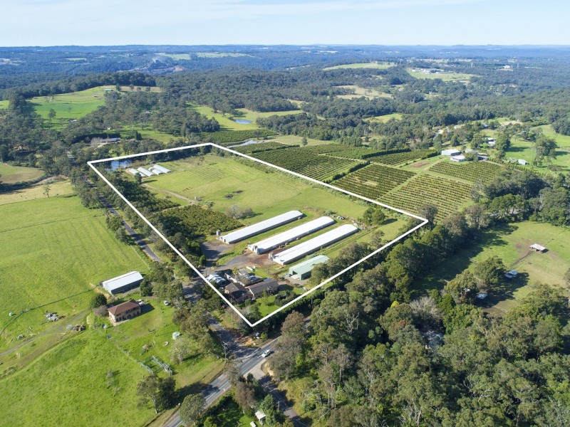 10 Lillicrapps Road, Mangrove Mountain NSW 2250