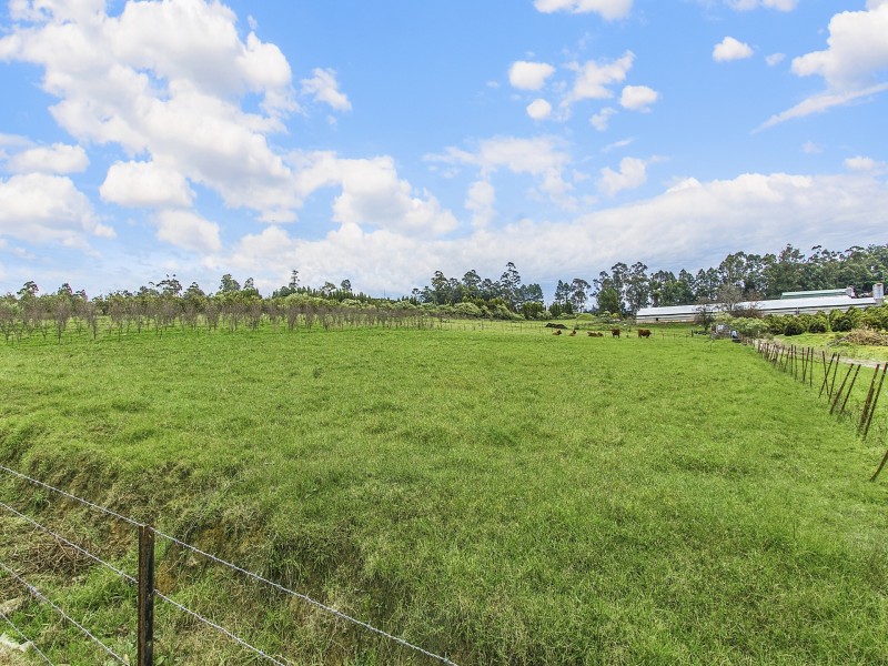 10 Lillicrapps Road, Mangrove Mountain NSW 2250
