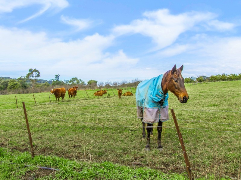 10 Lillicrapps Road, Mangrove Mountain NSW 2250