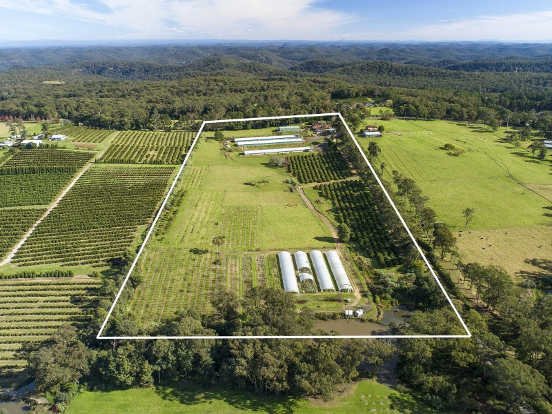 10 Lillicrapps Road, Mangrove Mountain NSW 2250