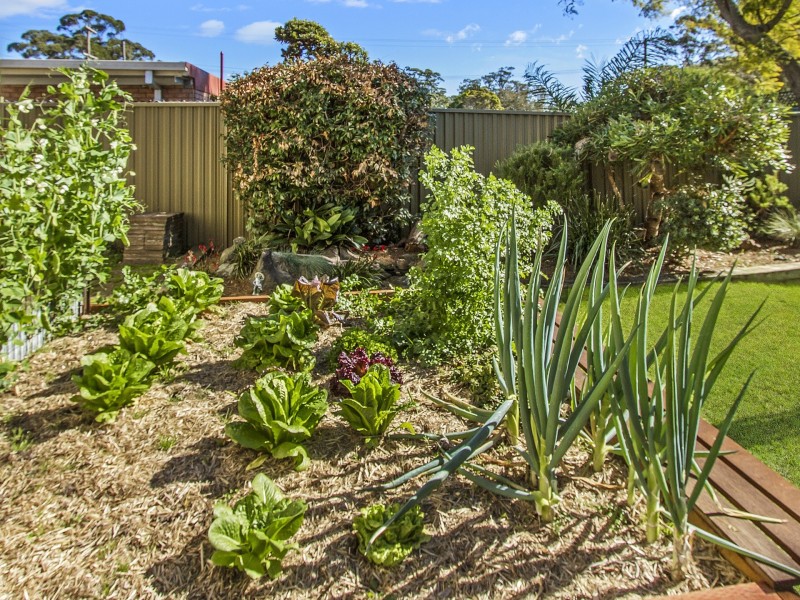 15a Bradys Gully Road, North Gosford NSW 2250