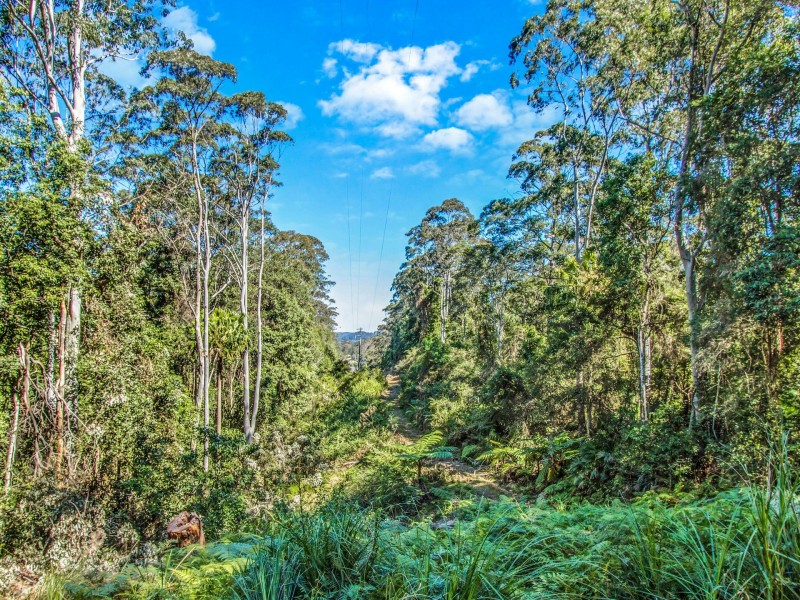 103 Alan Street, Niagara Park NSW 2250