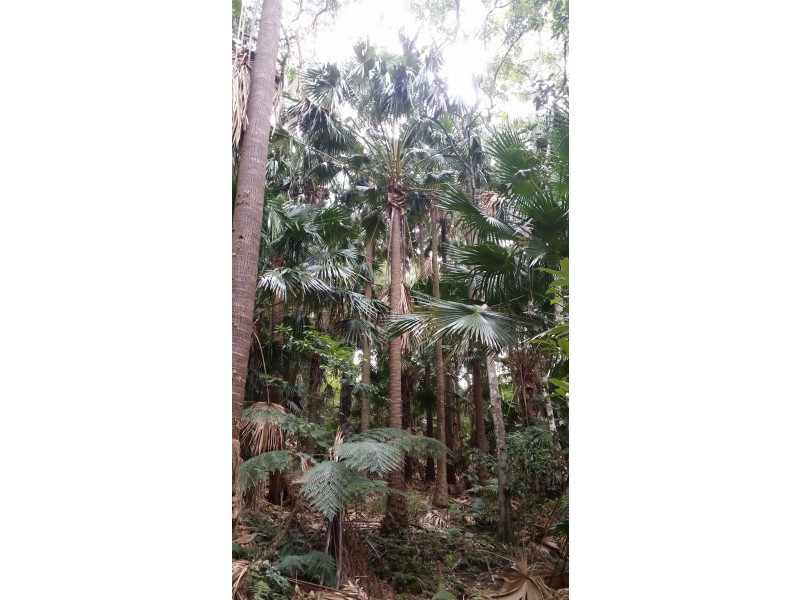 103 Alan Street, Niagara Park NSW 2250