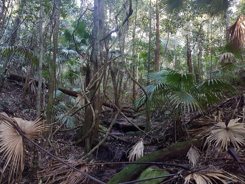 103 Alan Street, Niagara Park NSW 2250