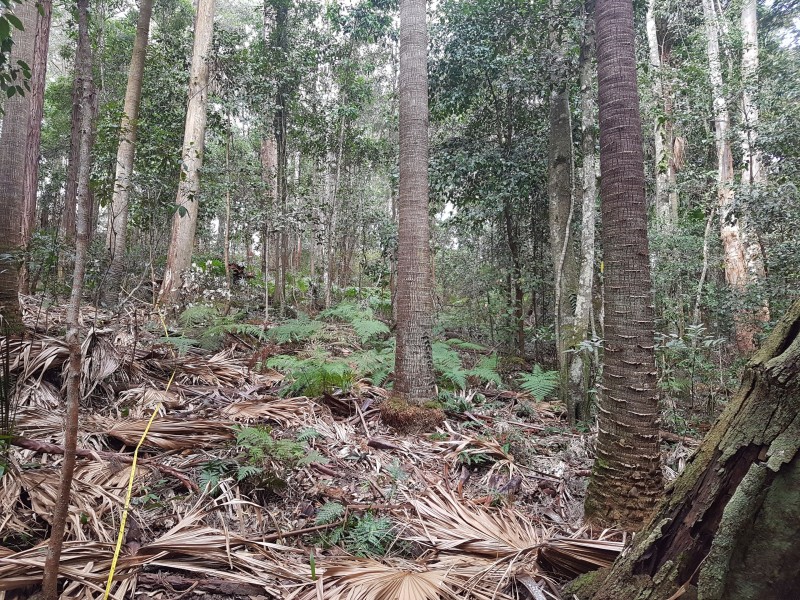 103 Alan Street, Niagara Park NSW 2250