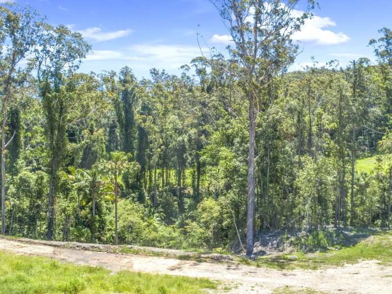 107 Chamberlain Road, Wyoming NSW 2250