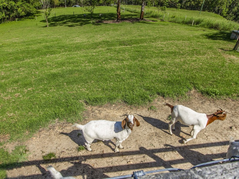 65 Glen Road, Niagara Park NSW 2250