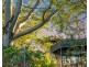 544 Norwell Road, Norwell QLD 4208