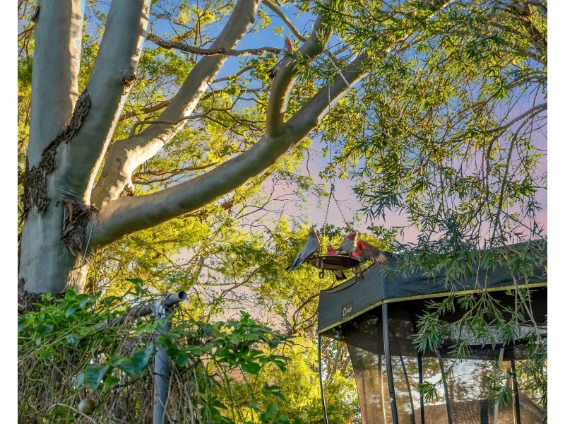 544 Norwell Road, Norwell QLD 4208