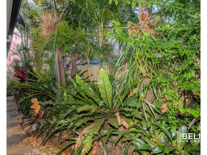 8 Heron Place, Jacobs Well QLD 4208