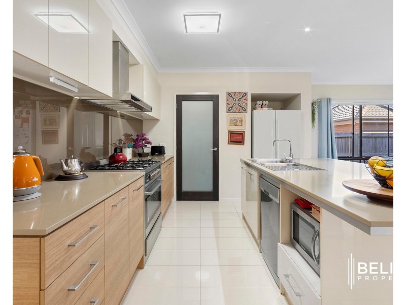 31 Ludlow Crescent, Ormeau Hills QLD 4208