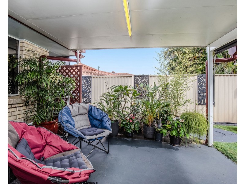 10 Thomas Court, Jacobs Well QLD 4208