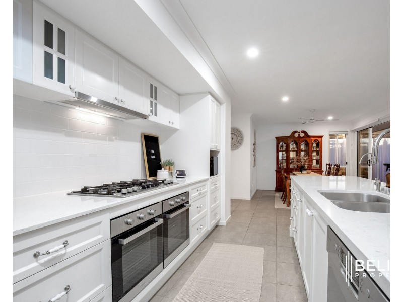 20 Corbould Court, Jacobs Well QLD 4208