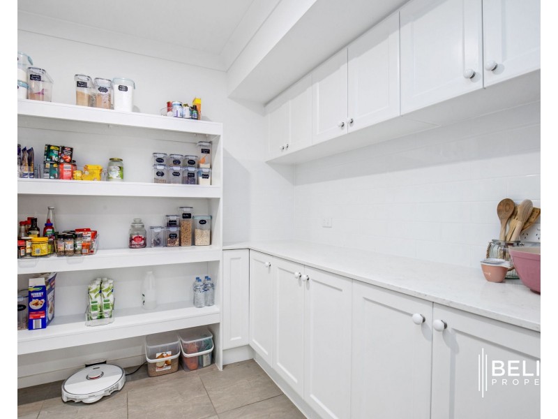 20 Corbould Court, Jacobs Well QLD 4208