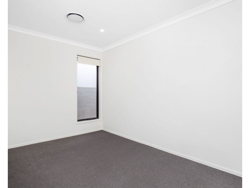 19 Hamilton Drive, Jacobs Well QLD 4208