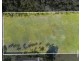 16 Pelican Parade, Jacobs Well QLD 4208