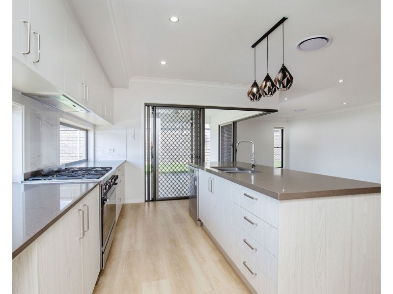 46 Eucalyptus CCT, Springfield QLD 4300