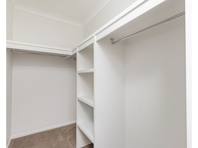 46 Eucalyptus CCT, Springfield QLD 4300
