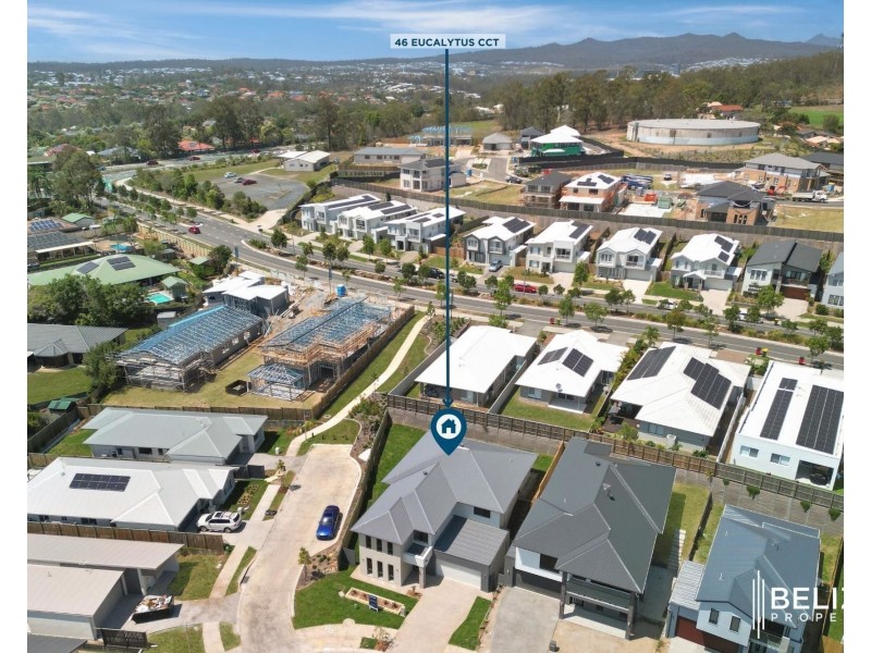 46 Eucalyptus CCT, Springfield QLD 4300