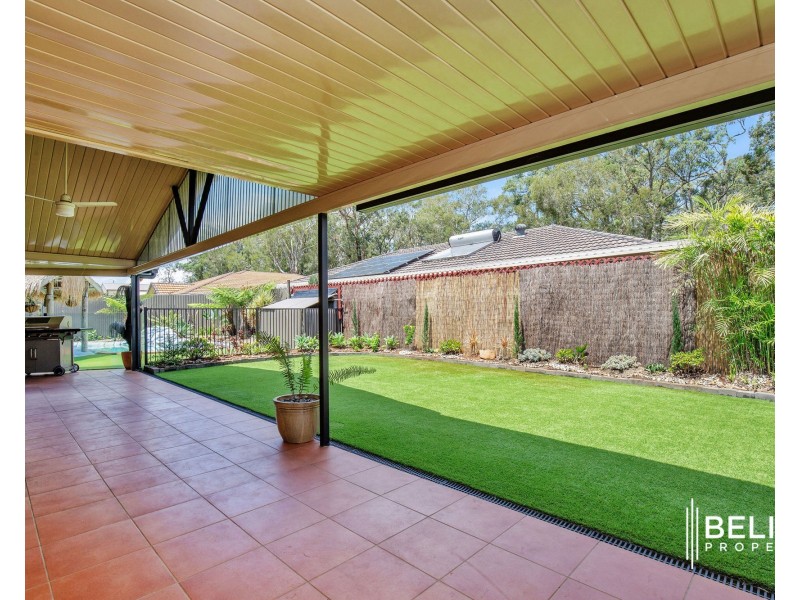 30 Petrel Place, Jacobs Well QLD 4208