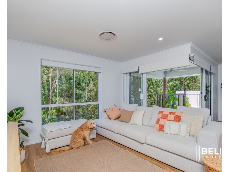 14 Whalleys St, Coomera QLD 4209