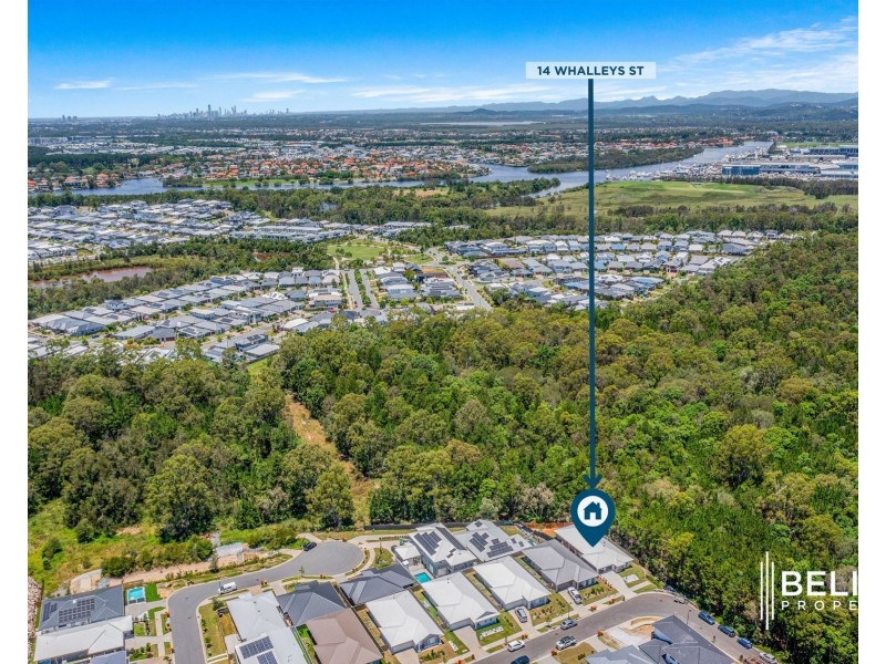 14 Whalleys St, Coomera QLD 4209