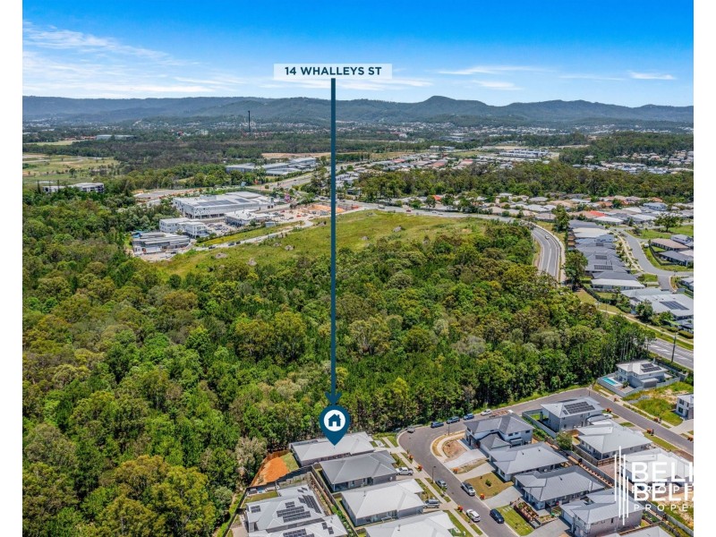 14 Whalleys St, Coomera QLD 4209