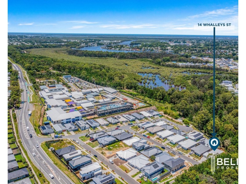 14 Whalleys St, Coomera QLD 4209