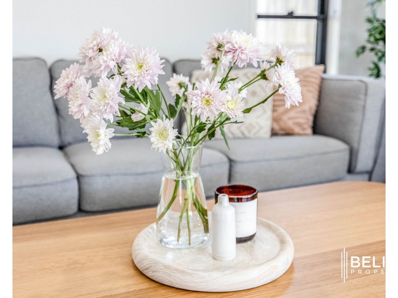 39 Seabright Circuit, Jacobs Well QLD 4208