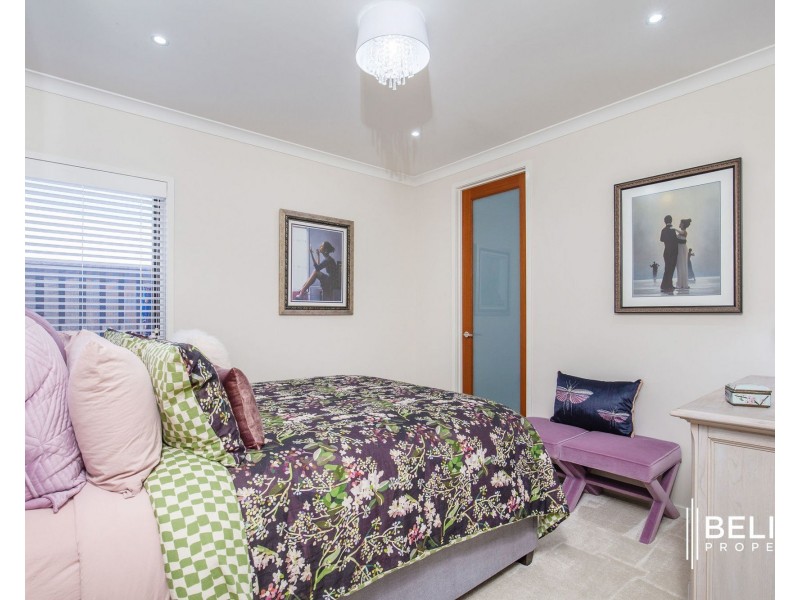 12 Elvire Street, Ormeau Hills QLD 4208