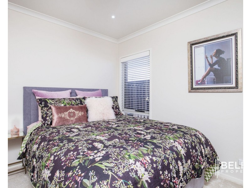 12 Elvire Street, Ormeau Hills QLD 4208