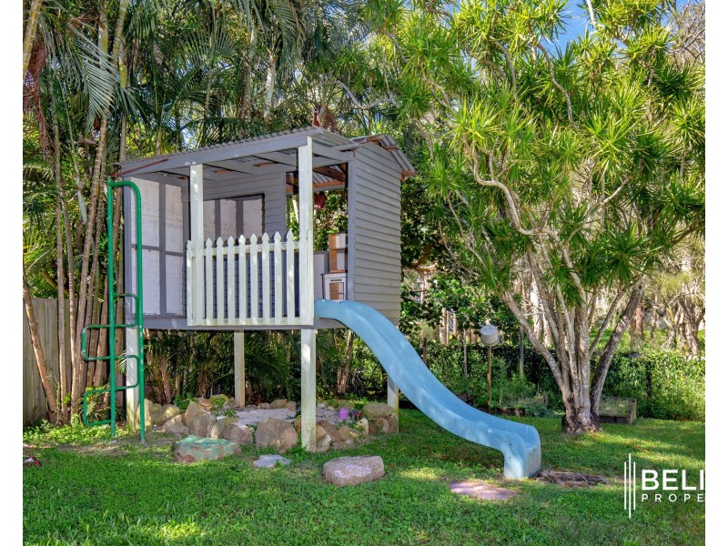 18 Petrel Place, Jacobs Well QLD 4208
