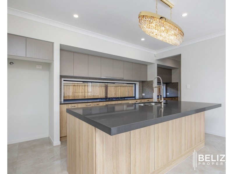11 Sepia Circuit, Greenbank QLD 4124