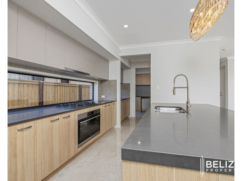 11 Sepia Circuit, Greenbank QLD 4124