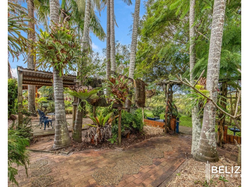 31 Cormorant Crescent, Jacobs Well QLD 4208