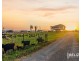 262 Norwell Road, Norwell QLD 4208