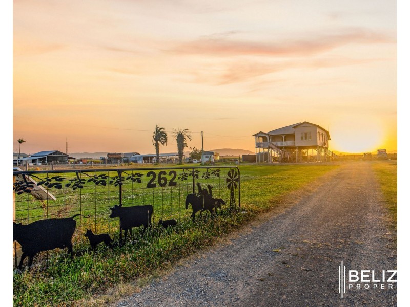 262 Norwell Road, Norwell QLD 4208