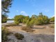7 Ibis Parade, Jacobs Well QLD 4208