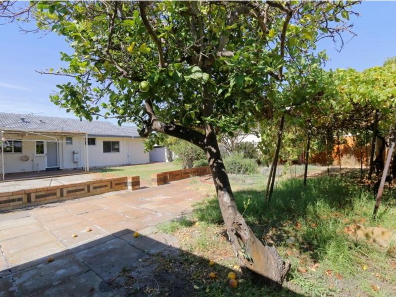 26 Spencer Avenue, Yokine WA 6060