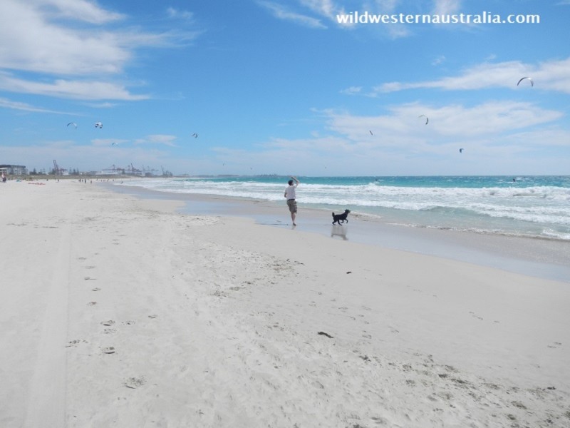 140 Stirling Highway, North Fremantle WA 6159