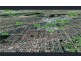 70 Gabriel Street, Cloverdale WA 6105