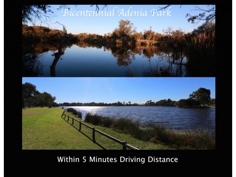 1-4/111 Barbican Street East, Riverton WA 6148