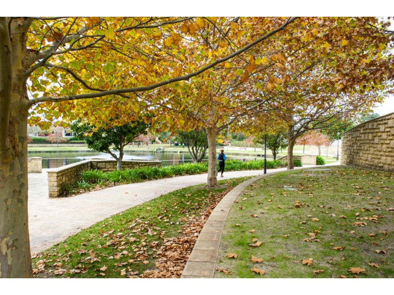 lot/20&34 Mouritzen Way, Subiaco WA 6008