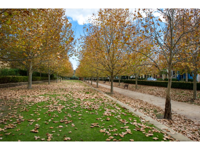 lot/20&34 Mouritzen Way, Subiaco WA 6008