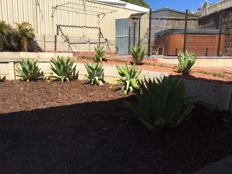 91 Devenish Street, East Victoria Park WA 6101