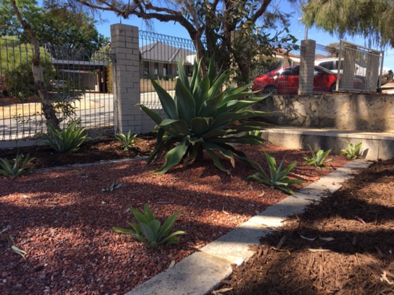 91 Devenish Street, East Victoria Park WA 6101