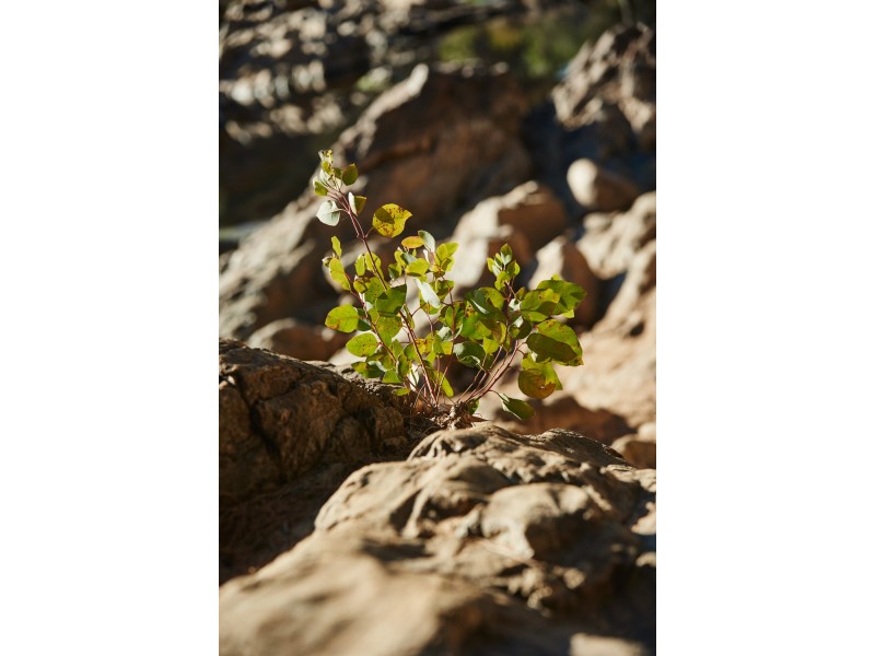 186 Chittering Road, Bullsbrook WA 6084