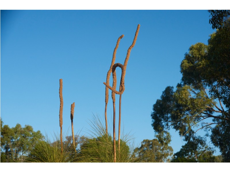 186 Chittering Road, Bullsbrook WA 6084