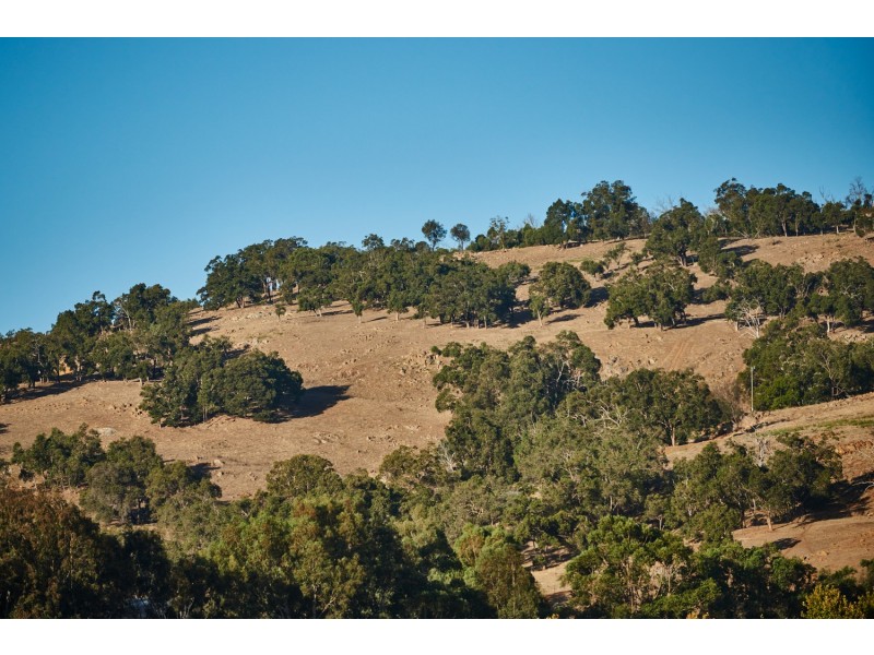 186 Chittering Road, Bullsbrook WA 6084