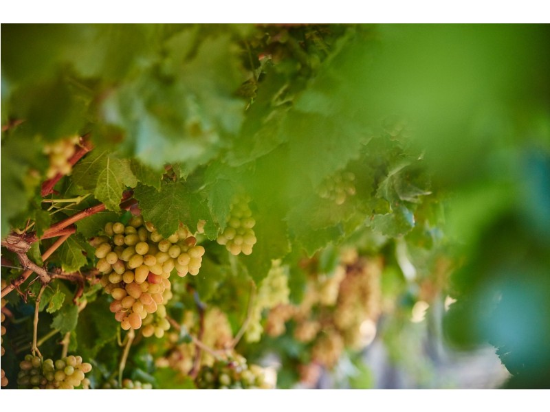 186 Chittering Road, Bullsbrook WA 6084